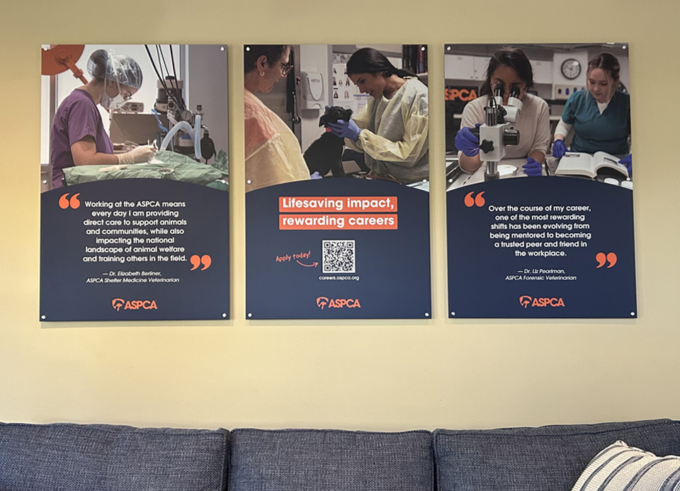 Standoff Signs photo 2