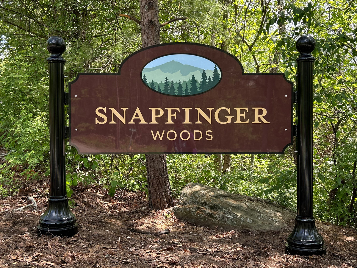 Snapfinger Woods HOA entrance sign with mountain and forest artwork mounted between decorative black posts