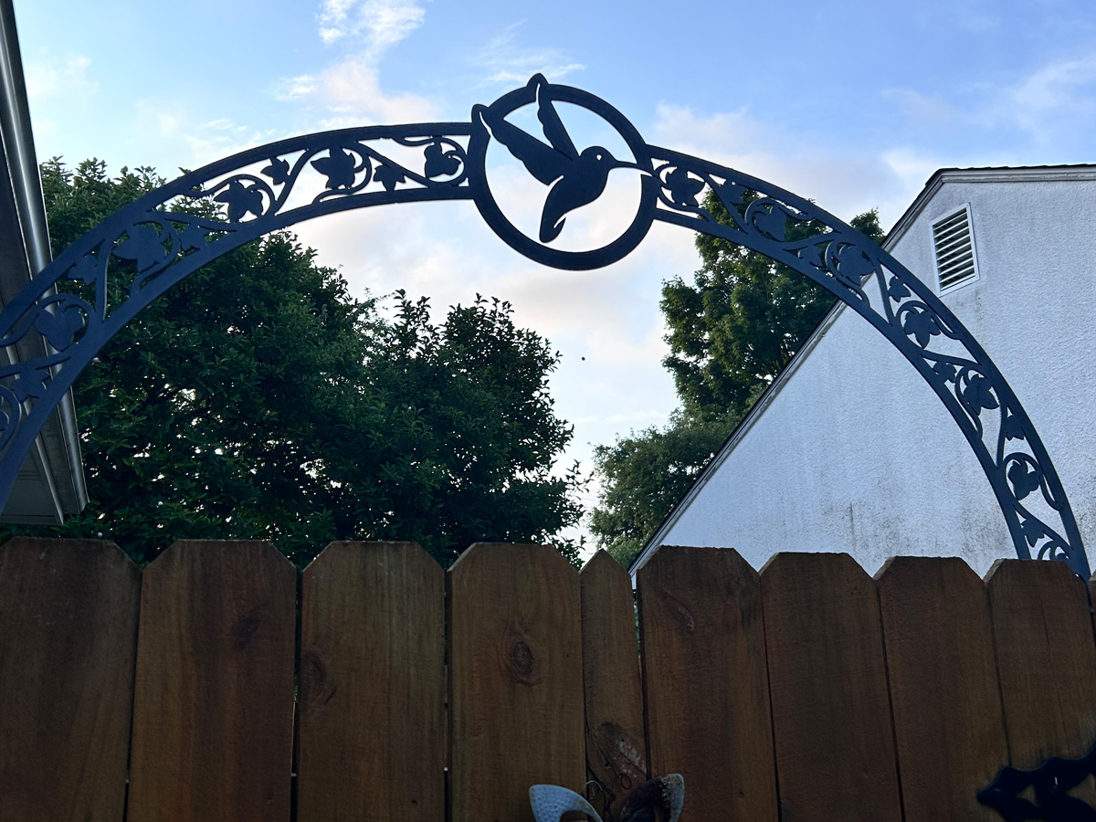 Custom decorative steel garden arch with hummingbird and floral scrollwork in Asheville North Carolina