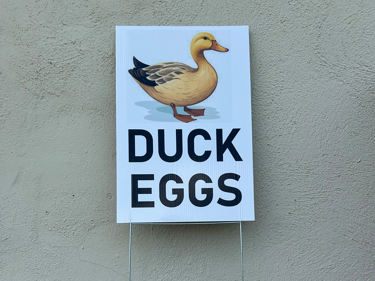 Custom Duck Eggs yard sign with illustrated duck mounted on wire stakes
